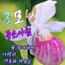 4월15일 토요일 경상사랑방 아침인사 이미지