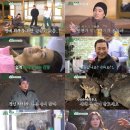 오니하우스 이미지