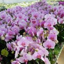 진규농장 이미지