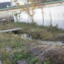 에콜로지 이미지