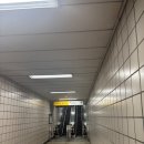 원일빌딩 | 청담 예물 결혼반지 상담 및 계약후기 오르시아 청담점 웨딩링