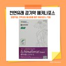 새터미널약국 이미지