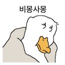 시장김밥 이미지