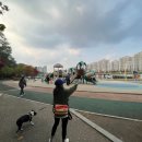 구갈레스피아 이미지