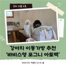 M메이저크리닝세탁소 | 강아지 가벼운 이동가방 바비스영 아토백 M 사이즈