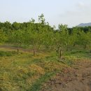 갯벌농장 이미지