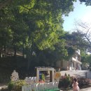 꿈나무교통나라 | [부산아이랑]실내 가볼만한곳 초읍 어린이창의교육관, 꿈나무교통나라, 식물원, 놀이터, AI로봇과 오목게임