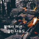 예루살렘을 택한 여호와-스가랴 이미지