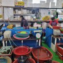 사오정식당 | 완도학림회센터)16번 장보고(회센터), 사오정식당(상차림) 후기(내돈내산)