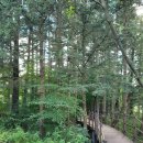 세븐일레븐 광릉수목원점 이미지