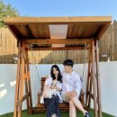 핑코하우스 | 부산근교 경남 밀양 애견동반펜션 핑코하우스 후기