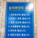 만수무강 전복삼계탕 이미지