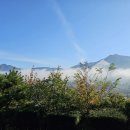 아침농원 이미지