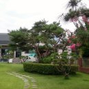 해찬민박 이미지