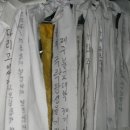 송태심 Daum카페