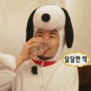 마이호니