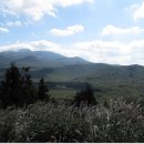 한라산둘레길 천아숲길 이미지