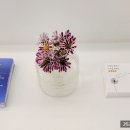 미앤드 이미지
