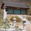 이칠만 Daum카페