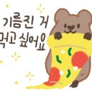 라쿤피자 이미지