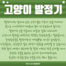 도화동물병원 이미지