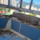 (주)대웅 이미지