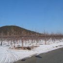 외성농장 이미지