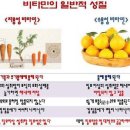 트리플엔(종합비타민) 제대로 알고 먹읍시다 이미지