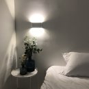 비비다아리 이미지