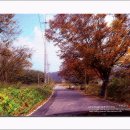 관음사 가는길 이미지