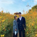여의동로1길 | 2025 서울 가을 데이트 BEST7, 근교드라이브까지 포함