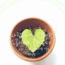풀코스 이미지