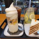 에스제이아이스크림 이미지