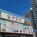 락오디세이동래