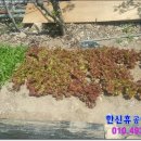 상복 농장 이미지