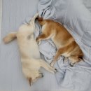 백천민박 이미지