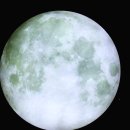 우암동 도시숲 이미지