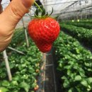 북촌농장 이미지