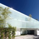 URBAN TREE 39 이미지