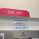 세탁앤빨래방 | 설날 맞이 이불 7장 세탁 완료🧺 | 세종 위시엔조이 해밀점 재방문 후기