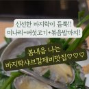 형님칼제비 이미지