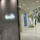 M007 | 코코드브라이덜 드레스 추가금 0원 공유 ㅠㅠㅋㅋㅋ