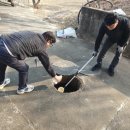 보건약방 이미지