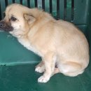 진북동물병원 이미지