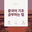 중국어 기초회화 공부법, 열심히 해도 실전에서 안 되는 이유