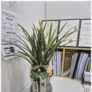 성실 행정사 사무소 이미지