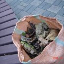 반포2동 이미지