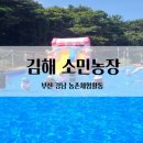 상룡농장 이미지