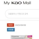 비스타파운데이션