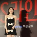 개'S 라인 이미지